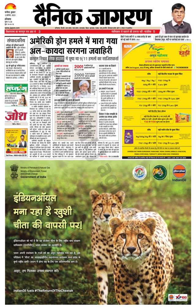 मैगज़्टर गोल्ड के साथ असीमित हो जाओ