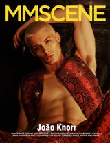 Issue 29