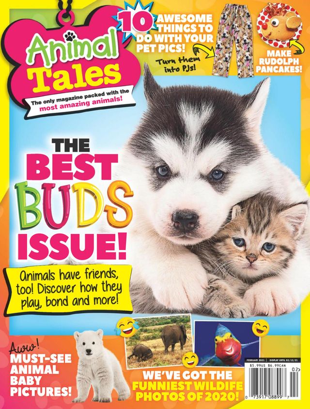 Go Unlimited with Magzter GOLD