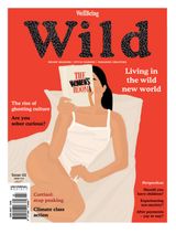 Issue 2
