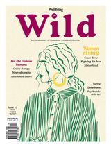 Wild 13
