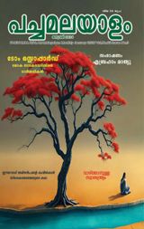PACHAMALAYALAM