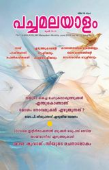 PACHAMALAYALAM