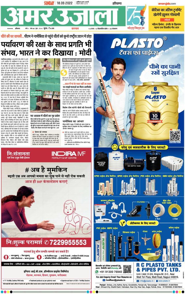 मैगज़्टर गोल्ड के साथ असीमित हो जाओ