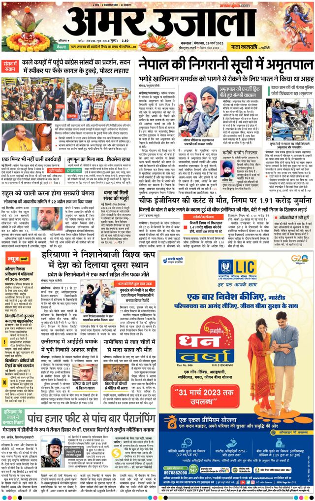 Gå ubegrenset med Magzter GOLD