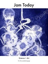 Photo Magazine 6: Science + Art