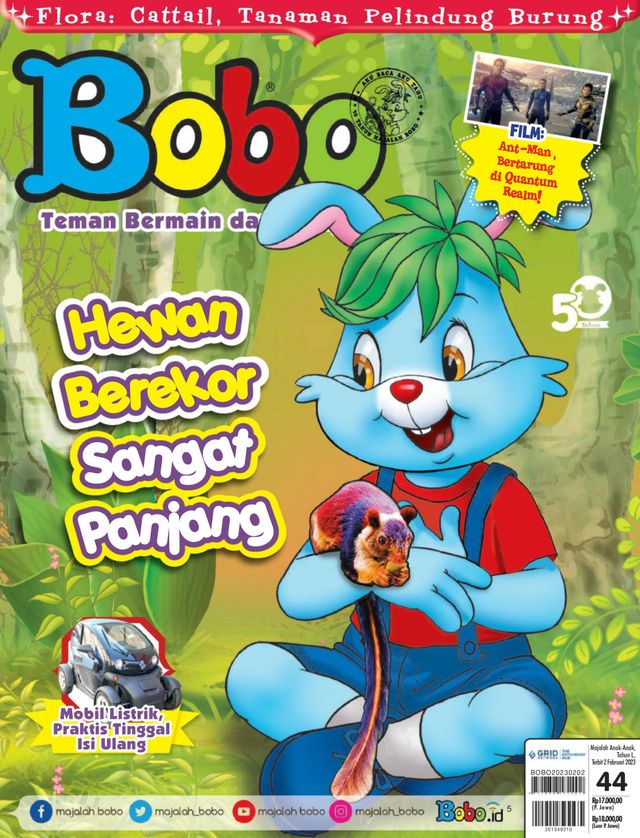 Bobo