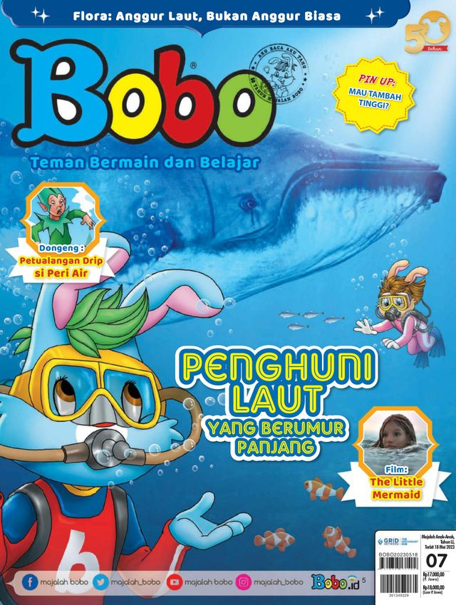 Bobo