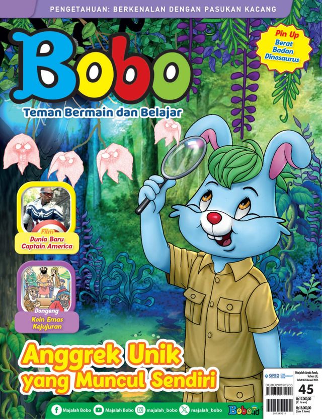 Bobo