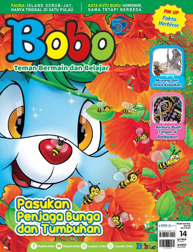 Bobo