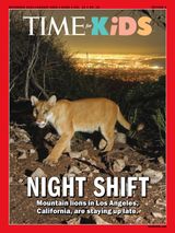 December 2024/January 2025 (VOL. 15 NO. 16)