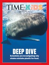 May 2025 (VOL. 15 NO. 26)