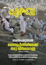 Pudava