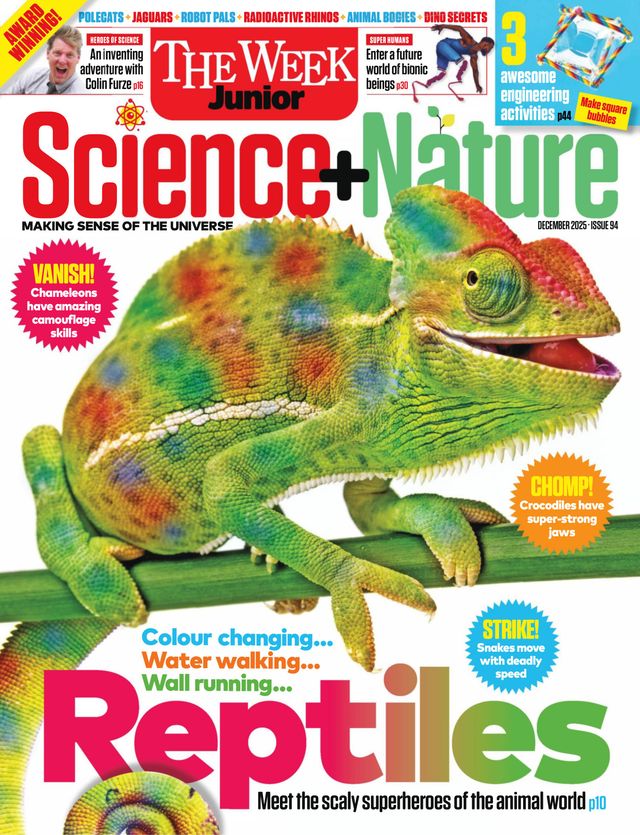 The Week Junior Science+Nature UK