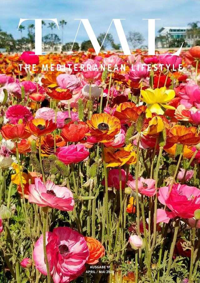 The Mediterranean Lifestyle German