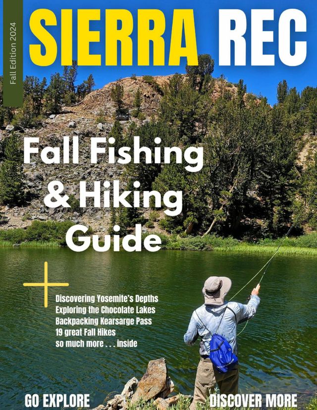 Vuélvete ilimitado con Magzter GOLD