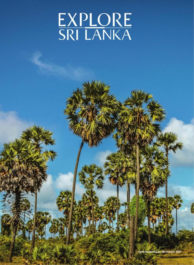 Explore Sri Lanka