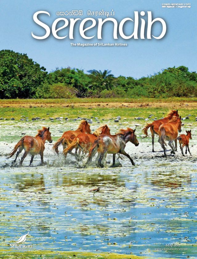 Serendib