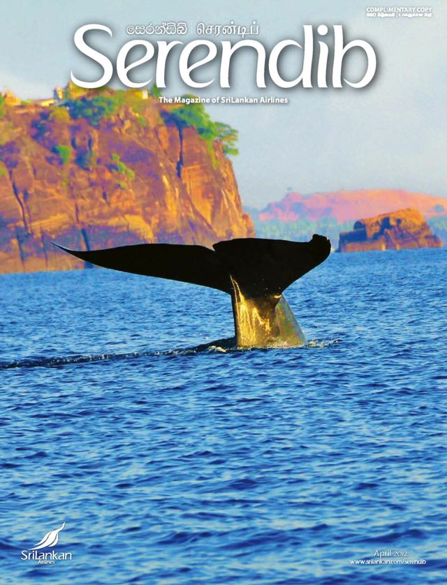 Serendib