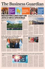 The Business Guardian