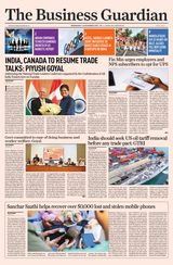 The Business Guardian