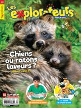 Issue 221