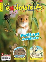Issue 227