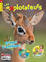 Issue 229