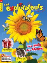 Issue 230