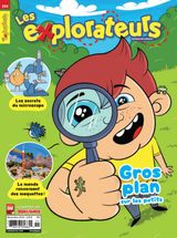 Issue 234