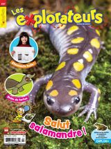 Issue 237