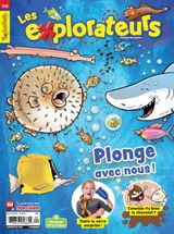 Issue 238