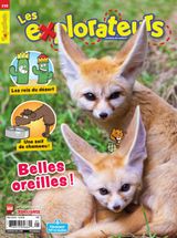 Issue 239