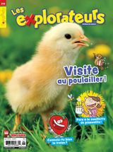 Issue 240