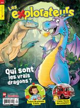 Issue 242