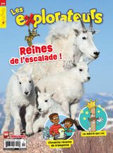 Issue 244