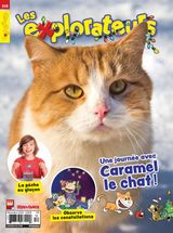 Issue 245