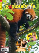 Issue 247