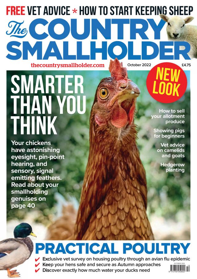 The Country Smallholder