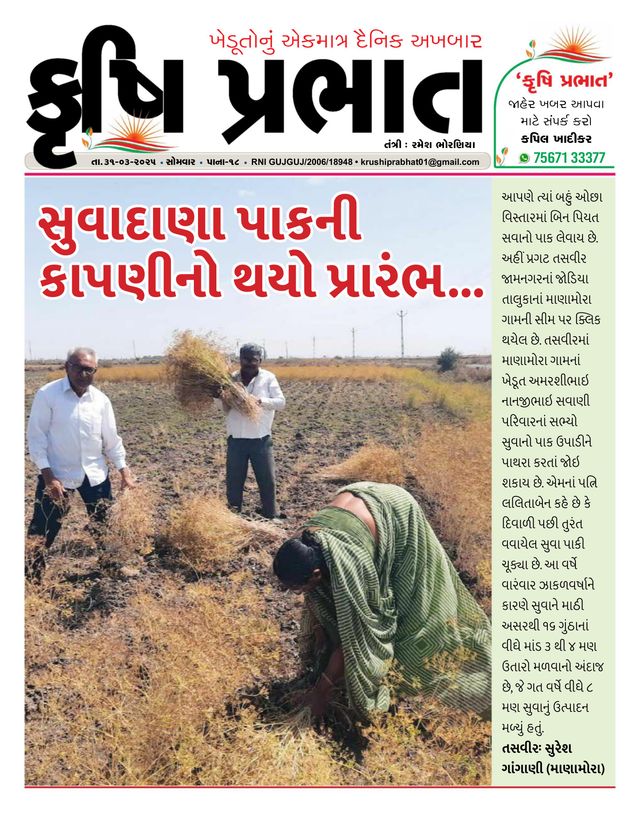 Krushi Prabhat