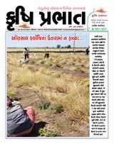 Krushi Prabhat