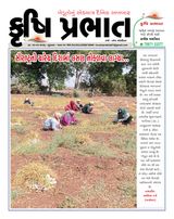 Krushi Prabhat