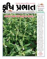 Krushi Prabhat