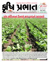 Krushi Prabhat