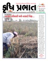 Krushi Prabhat