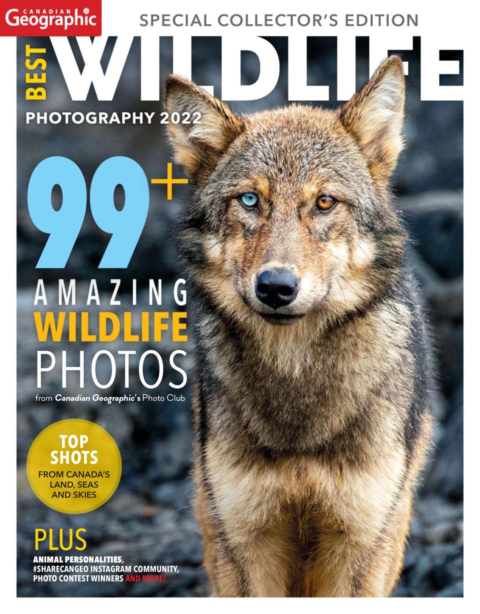 Canadian Geographic Best Wildlife Photography 2022 Magazine Canadian Geographic Best Wildlife Photography 2022 Magazine