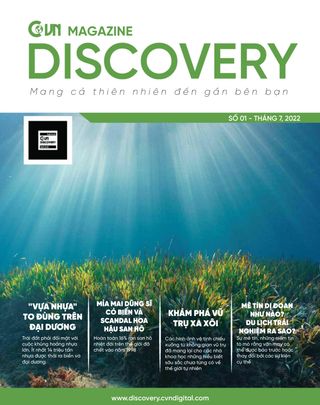 CVN DISCOVERY - Issue 08, 2022 CVN DISCOVERY Cover - Issue 08, 2022 Edition