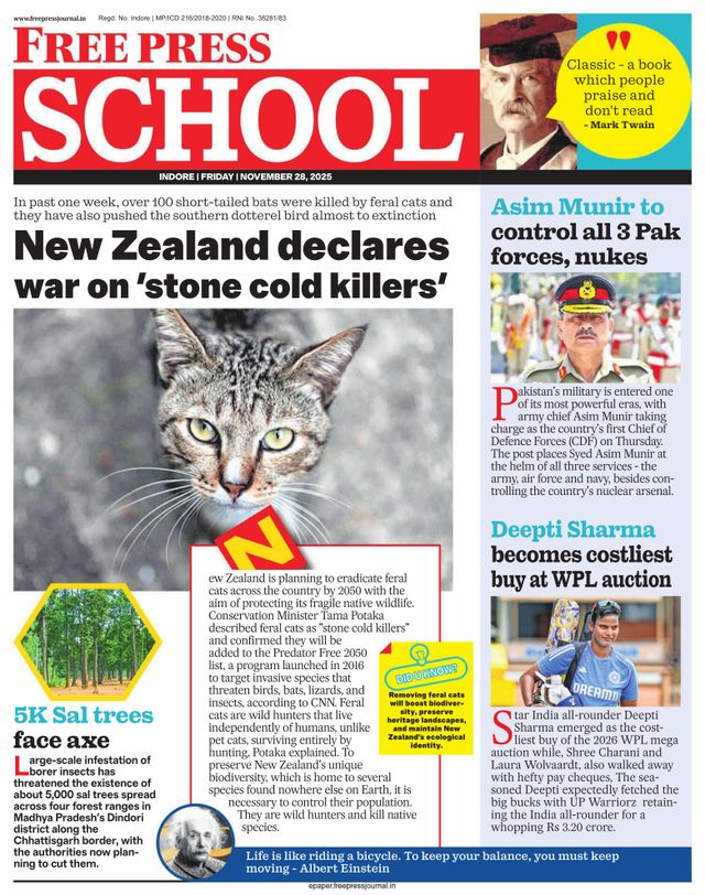 Free Press School Indore