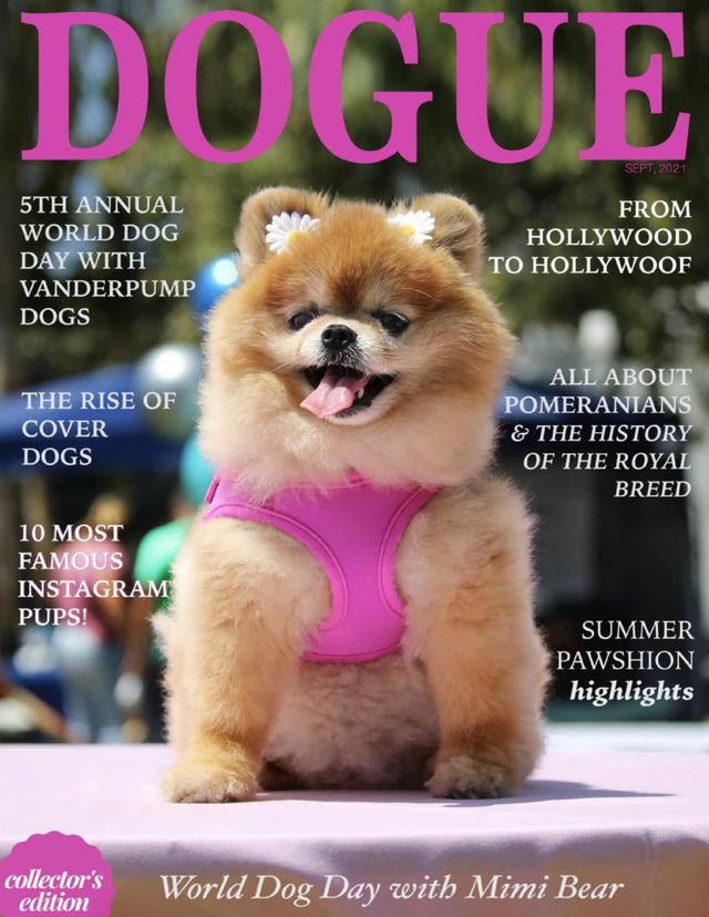 DOGUE