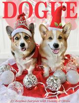 December 2021